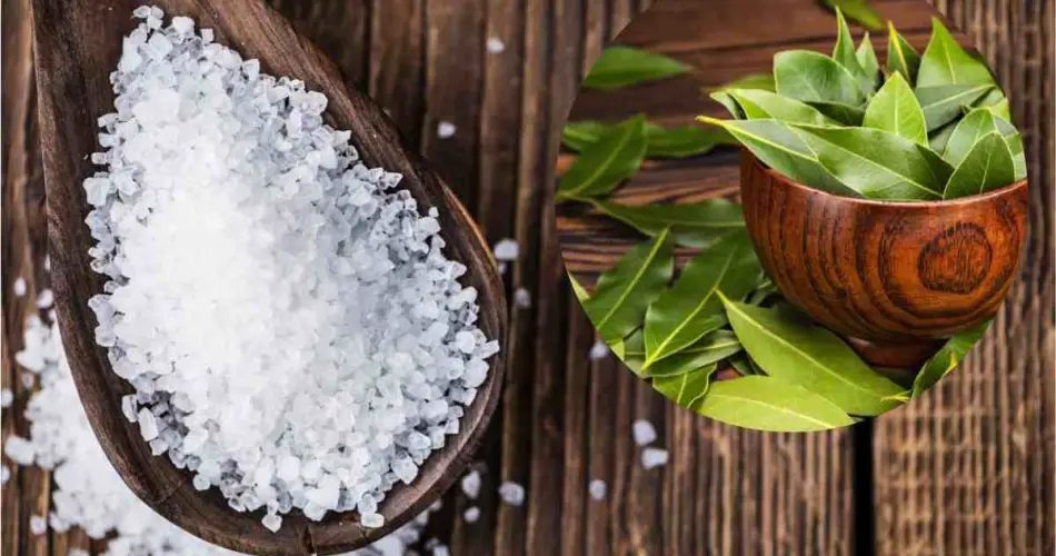 Bobkový list a sůl: Směs, která má cenu zlata! Moje babička mě naučila, jak to používat